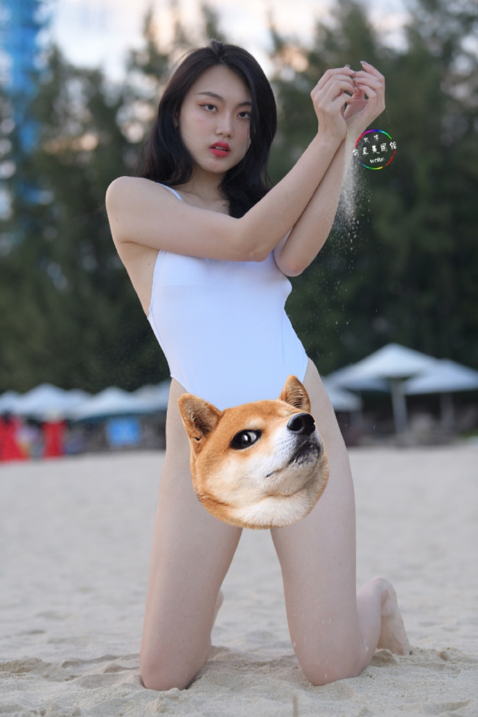 wepoker官网版v3.32.75.2.523 安卓版-2265安卓网